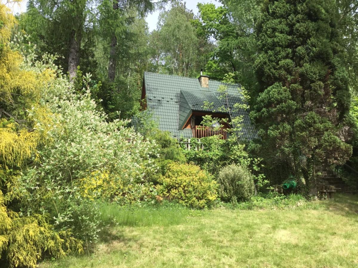 Domek W Lesie Leki  Exteriör bild